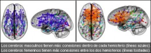 cerebro_art4