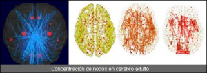 nodos