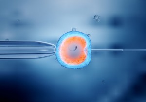 mitocondrial