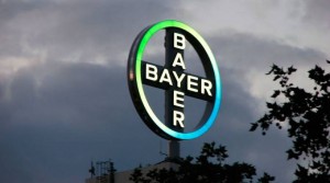 bayer